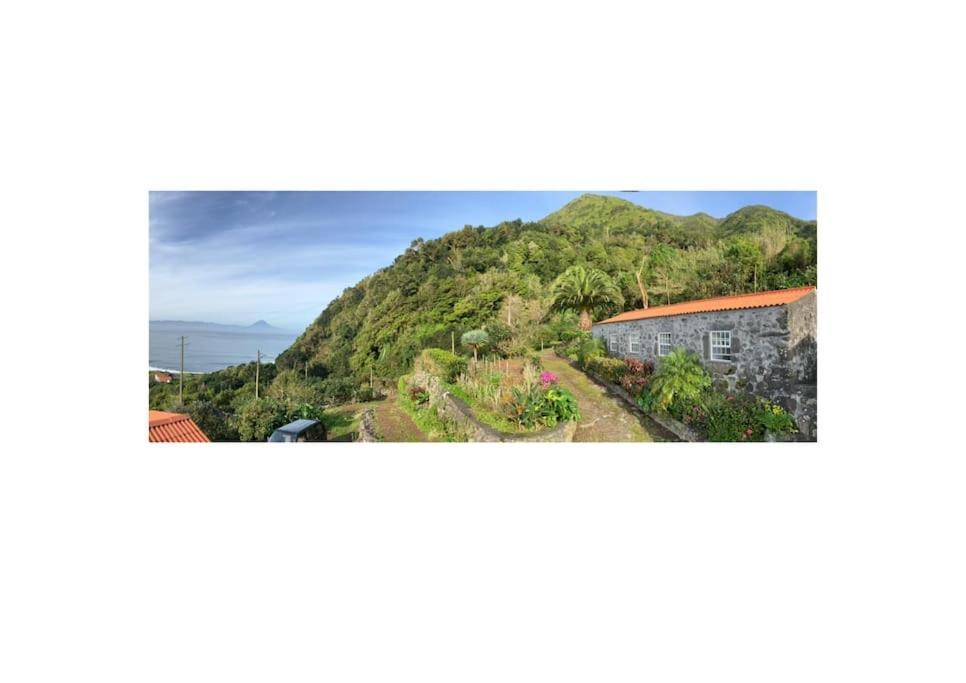 Vistalinda Farmhouse Faja dos Vimes Exterior foto